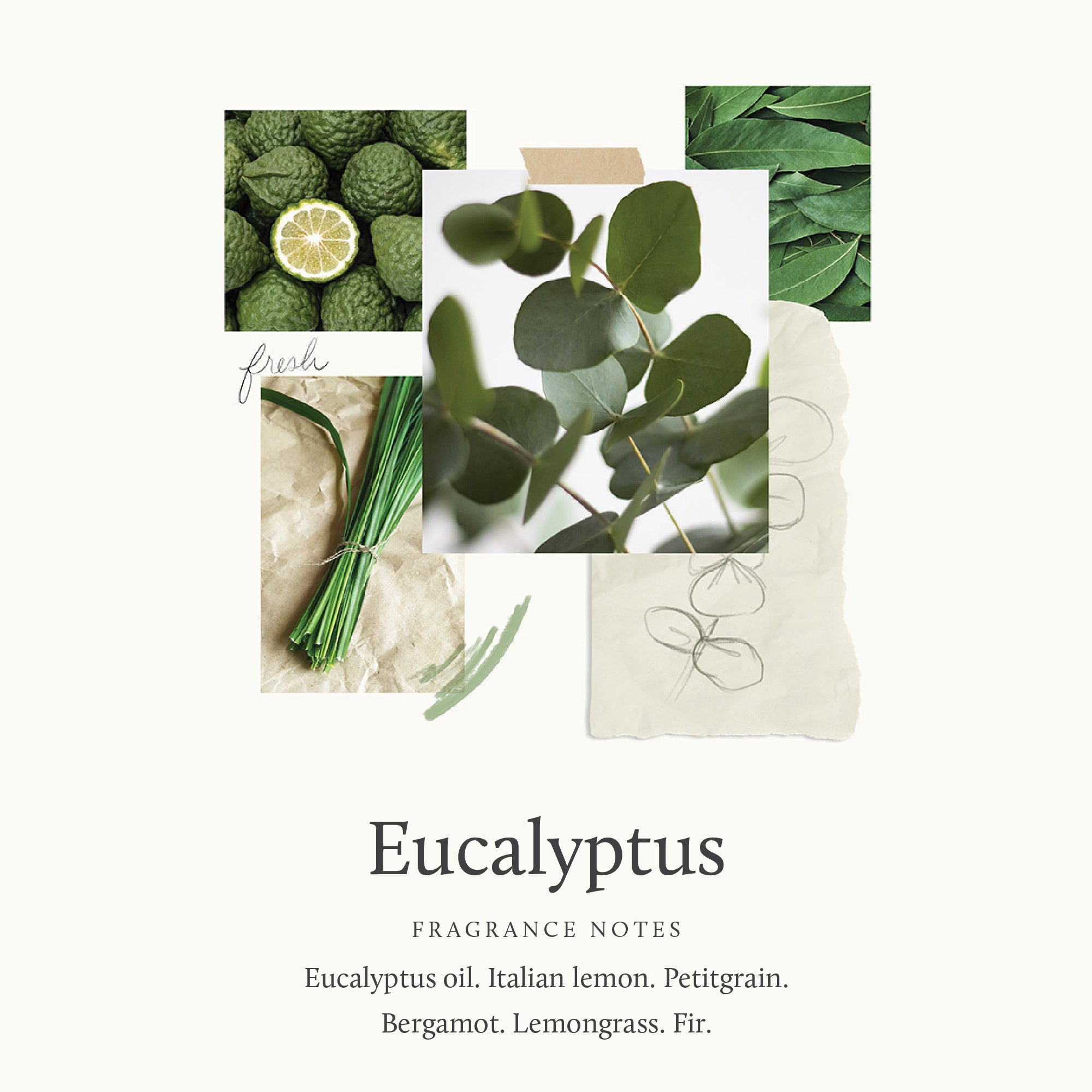 Alternative view of Eucalyptus Hand Care Duo